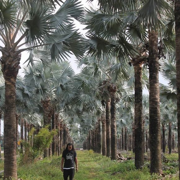 Meet your Posher, Charles - Picture 1 of 1